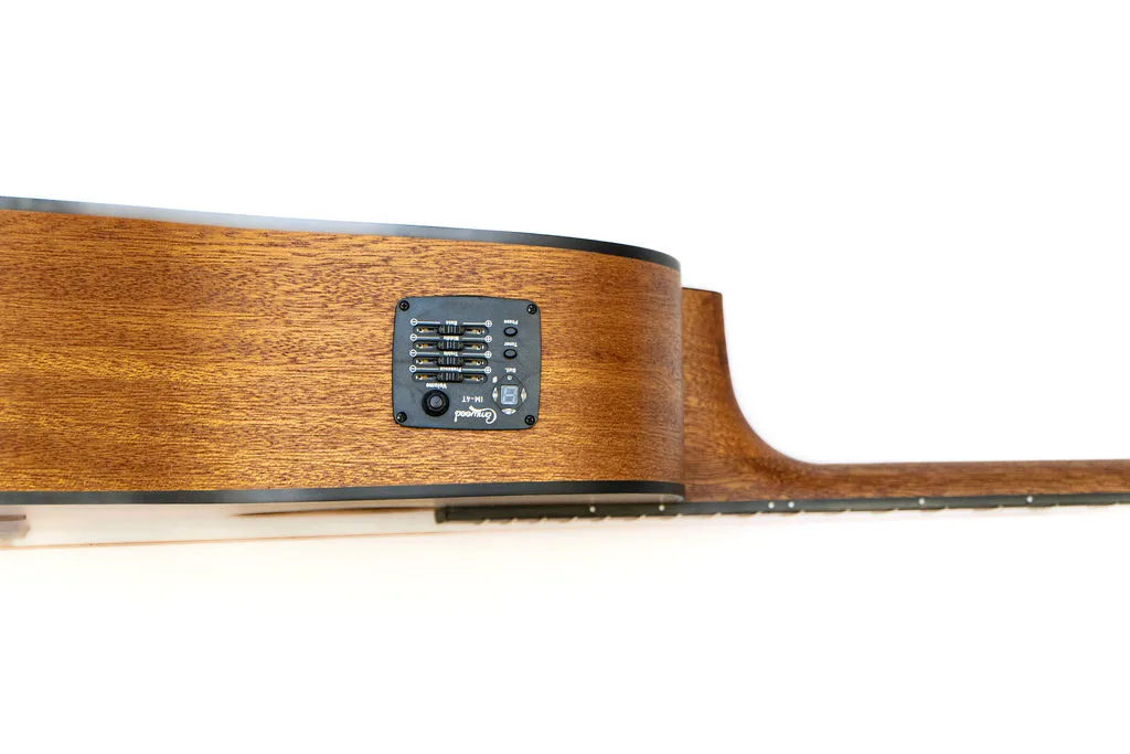 Camwood IW-240 MNS CWE, view 6