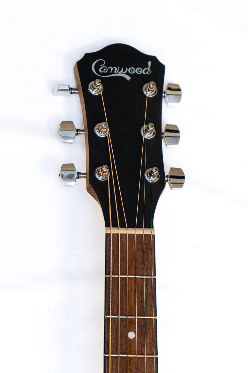 Camwood IW-240 DNA, view 1