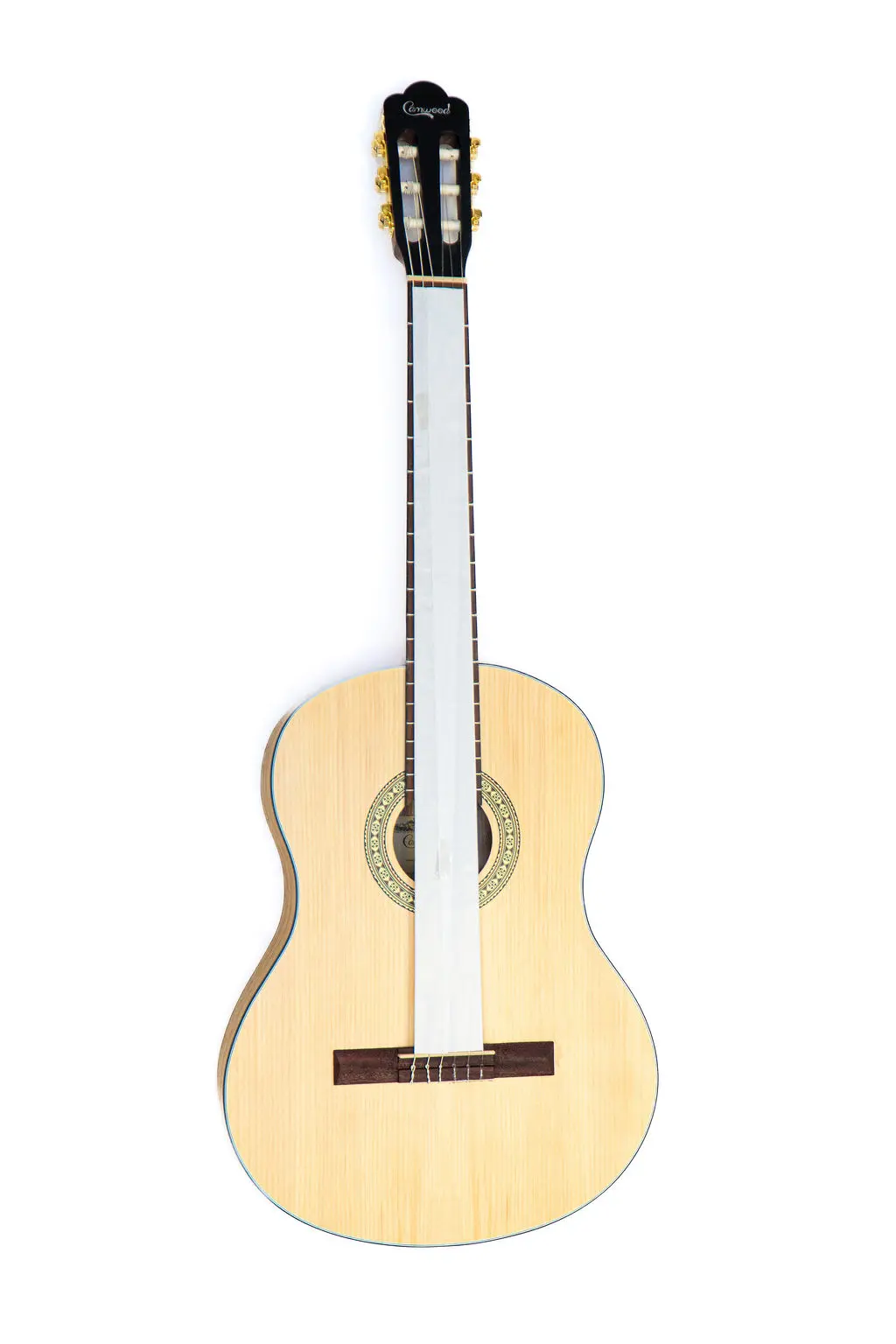 Protected in transit — fingerboard covered, instrument inside the bag.